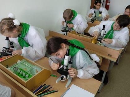 В 2023 году в Краснодарском крае откроют 67 «Точек роста» и школьный «Кванториум»