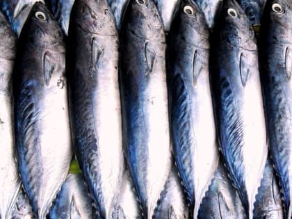 При каких проблемах со здоровьем  нужно отказаться от полезных омега-3