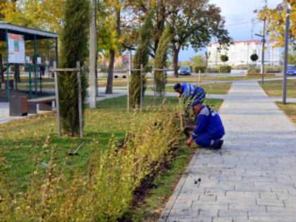 Осеннее благоустройство