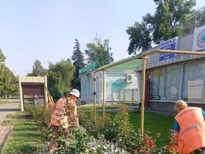 Работы по прополке клумб