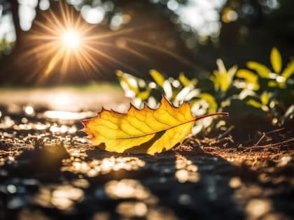 Синоптики заявили о рекордной жаре на предстоящей неделе на Кубани