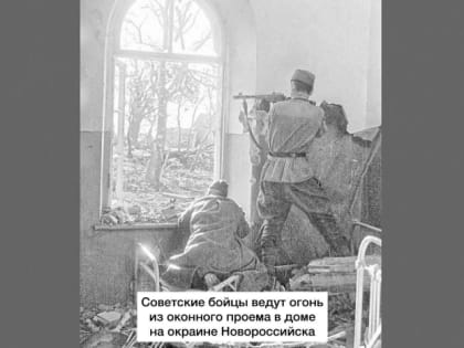 Глава Кубани открыл новый проект об истории Великой Отечественной войны