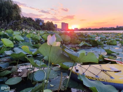 В Краснодарском крае на выходных температура поднимется до 35 °С