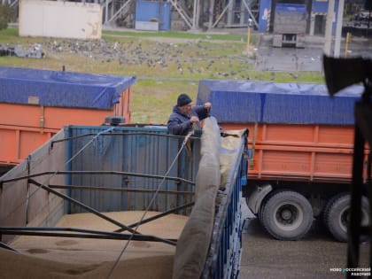 В Новороссийске начнут отгружать зерно для помощи африканским странам