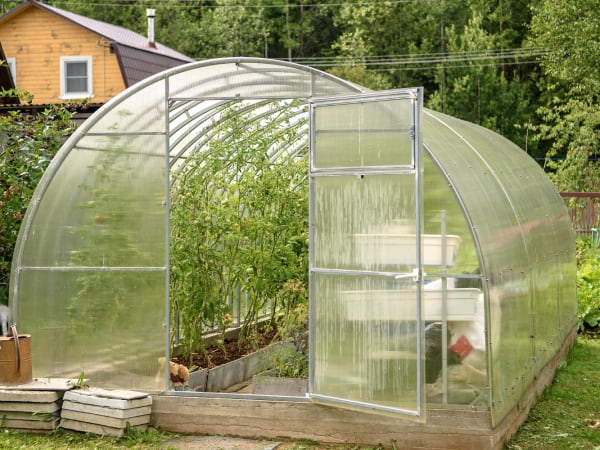 Теплицы из поликарбоната: современные решения для садоводов и огородников