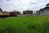 Участок 9 сот. (ИЖС)