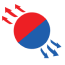 Company Icon
