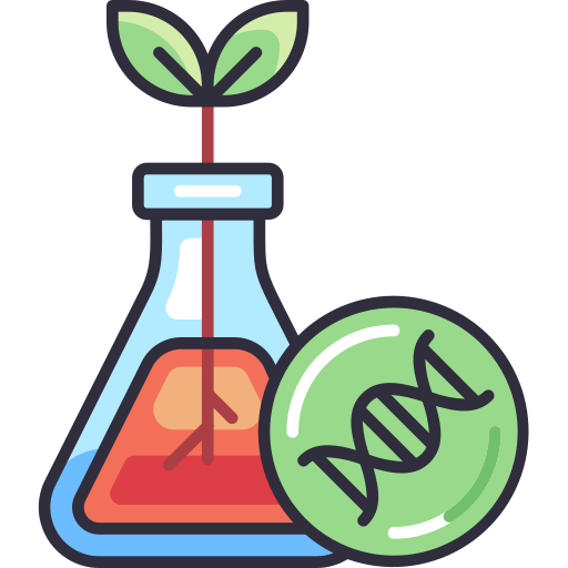 Training Program Icon