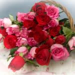 Roses in Basket