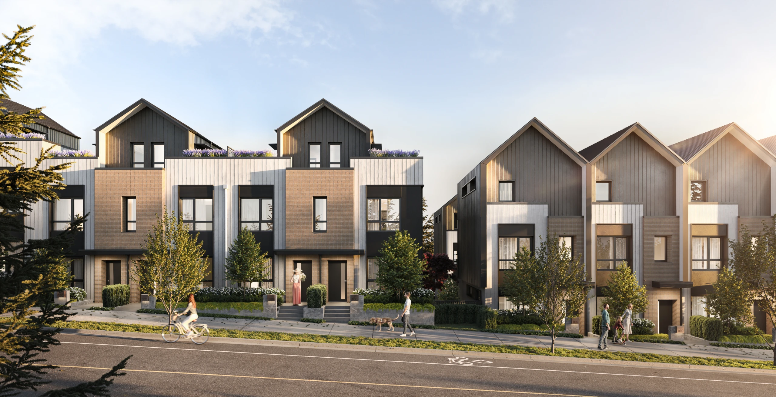DOMUS HOMES