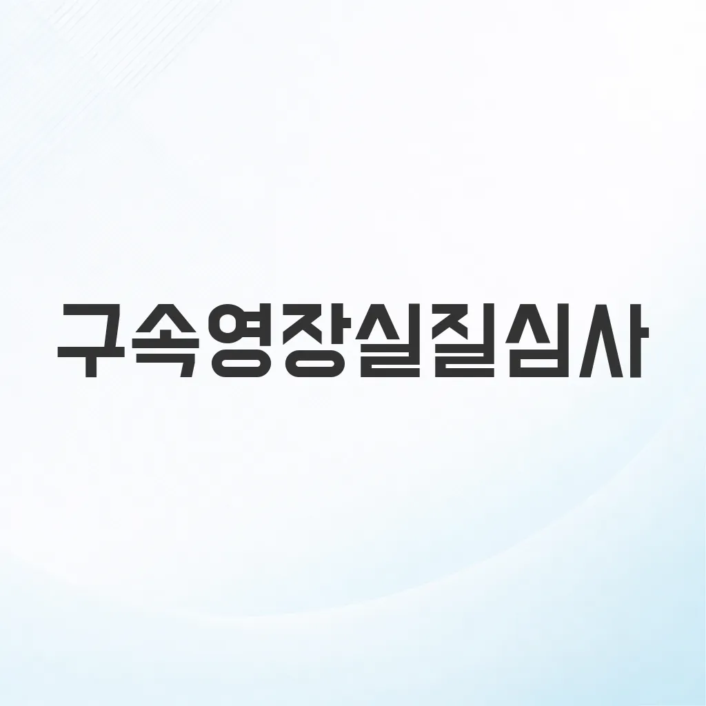구속영장실질심사