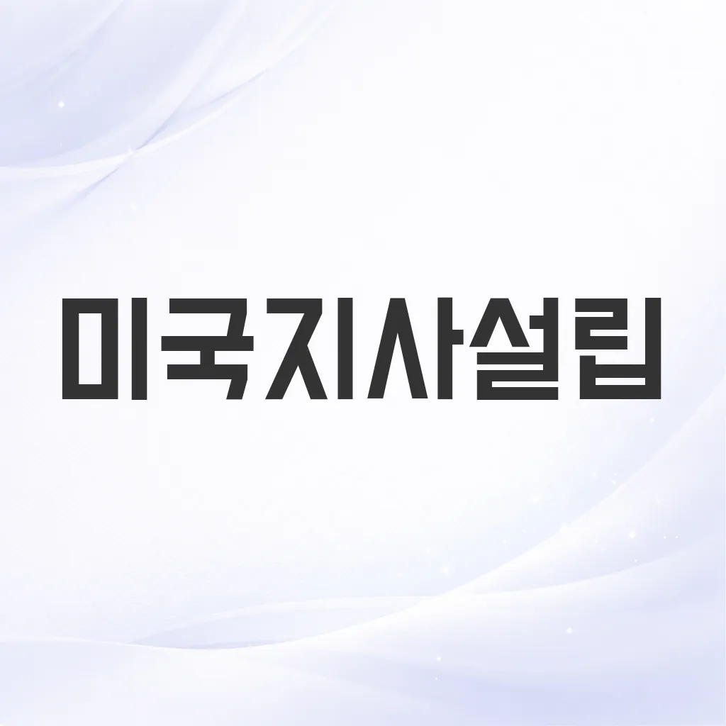 미국지사설립