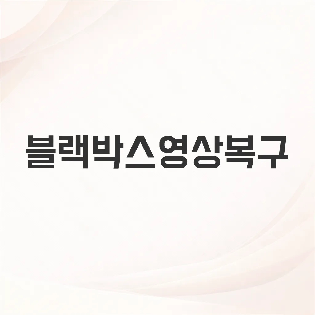블랙박스영상복구