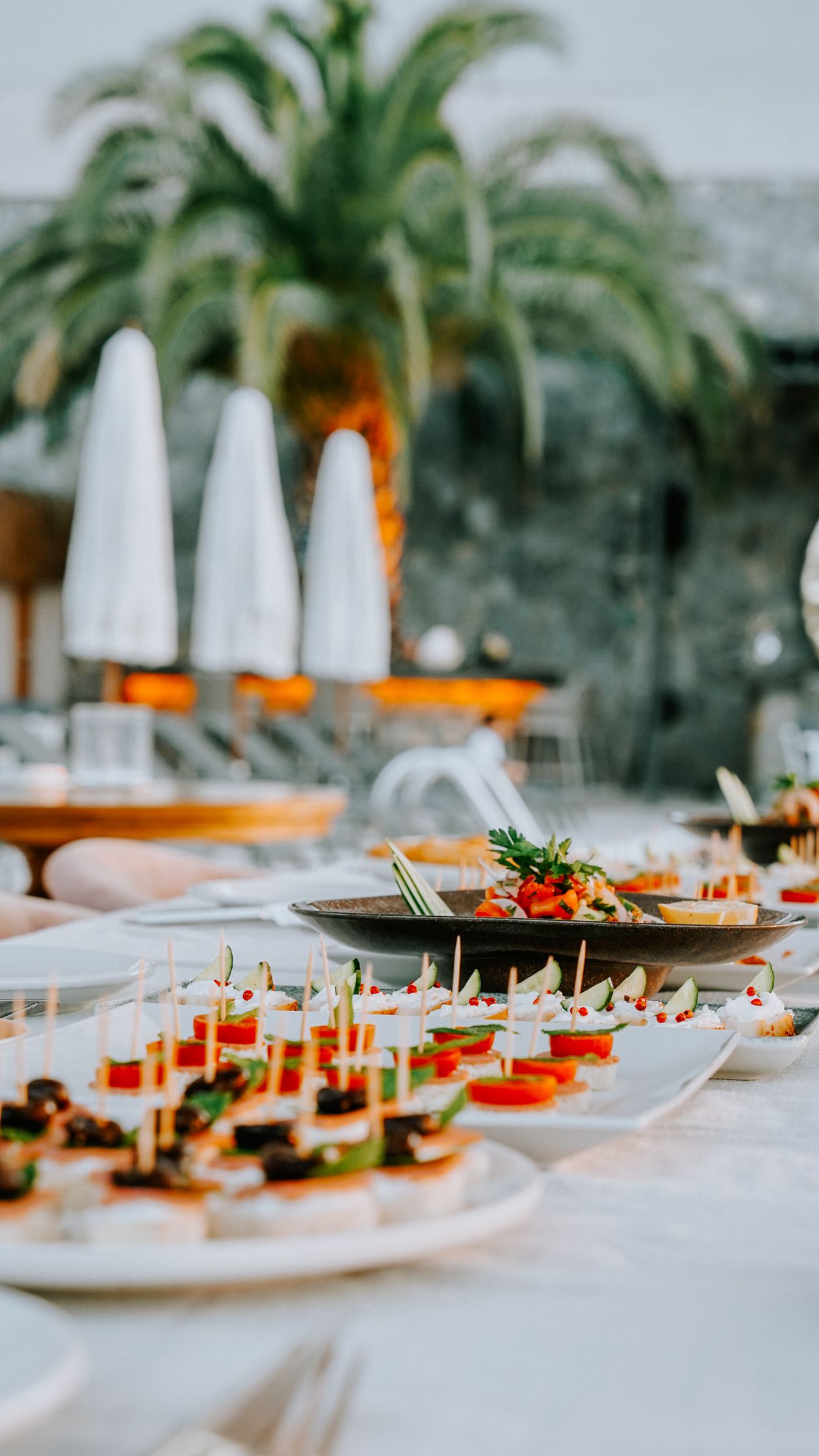 Baboo Catering Service — Caterer