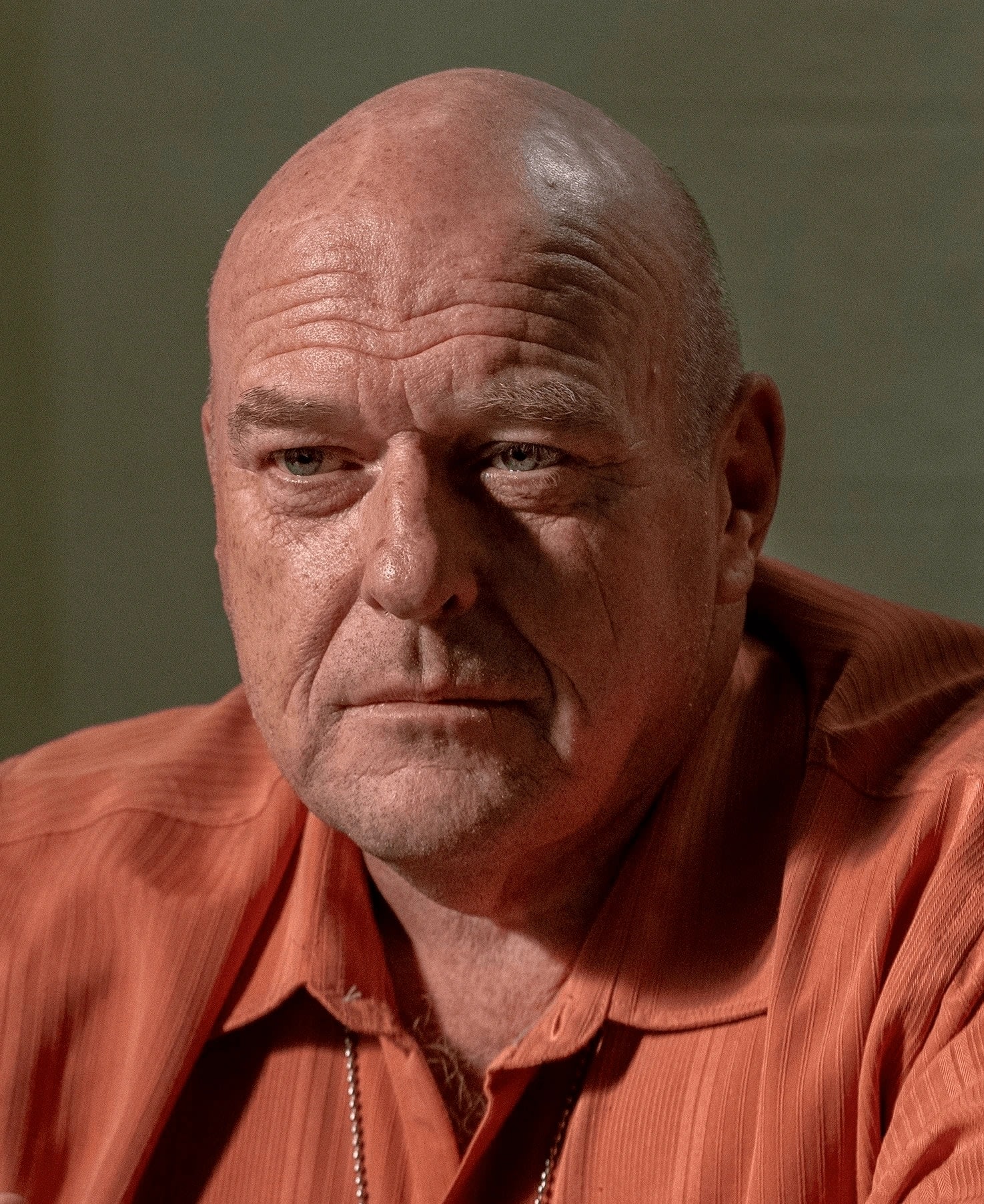 Hank Schrader