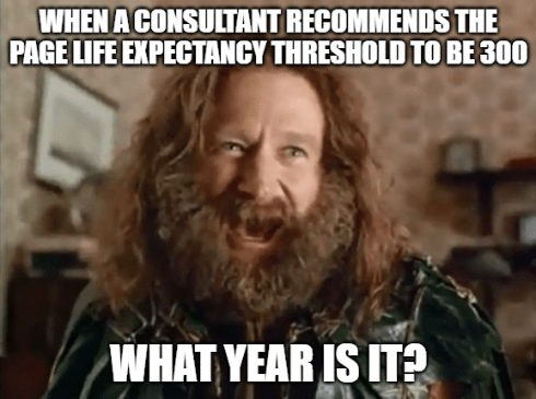 Robin Williams Jumanji meme with text 'WHEN A CONSULTANT RECOMMENDS THE PAGE LIFE EXPECTANCY THRESHOLD TO BE 300' at top and 'WHAT YEAR IS IT?' at bottom, showing Alan Parrish with wild hair and beard