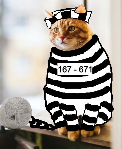 Orange tabby cat photoshopped to wear black and white striped prisoner outfit with number '167 - 671' on chest, sitting next to a ball of yarn with a chain