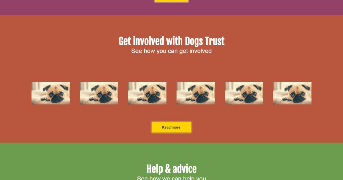 Non-profit / Animal Care / Landing Page - Non-profit Template 04