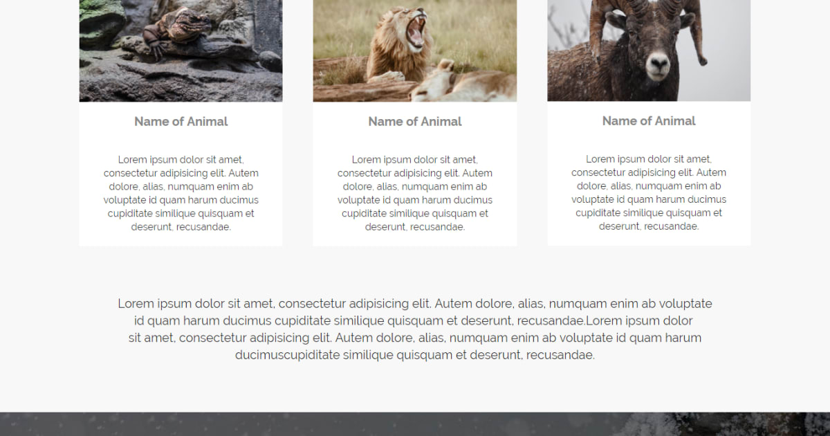 Wlidlife Services  / Services / Landing Page - Business Template 02