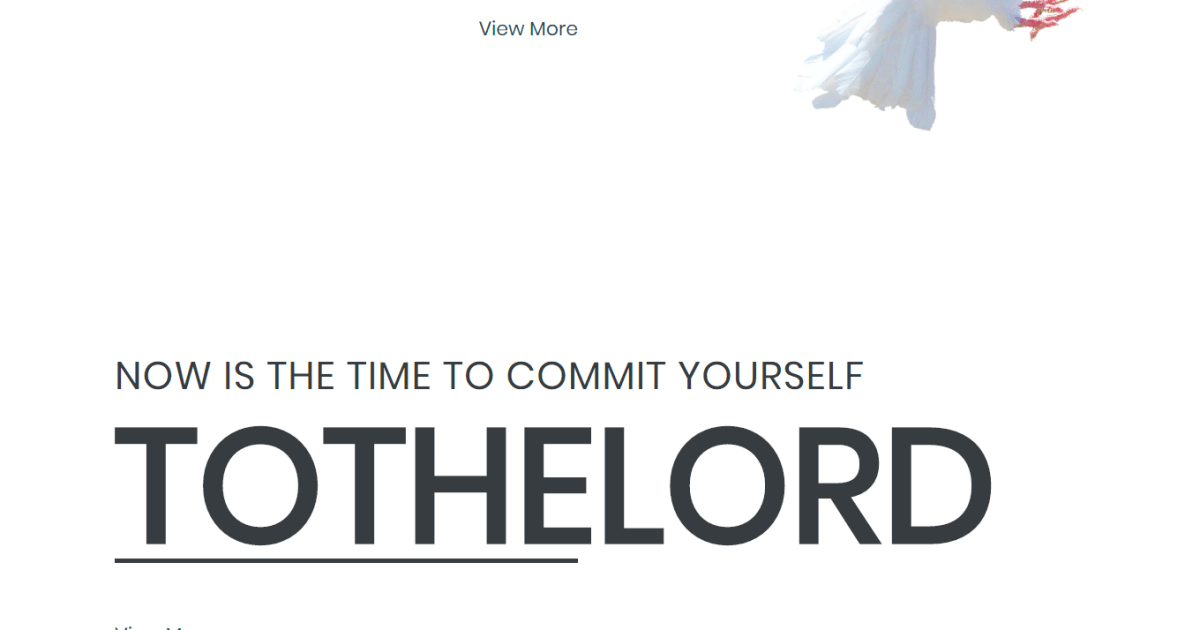 Traditional Business / Opt-in / Landing Page - Religion Template 07