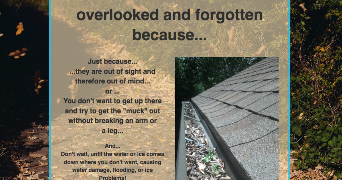 Rain Gutter Cleaning or Service Business Funnel