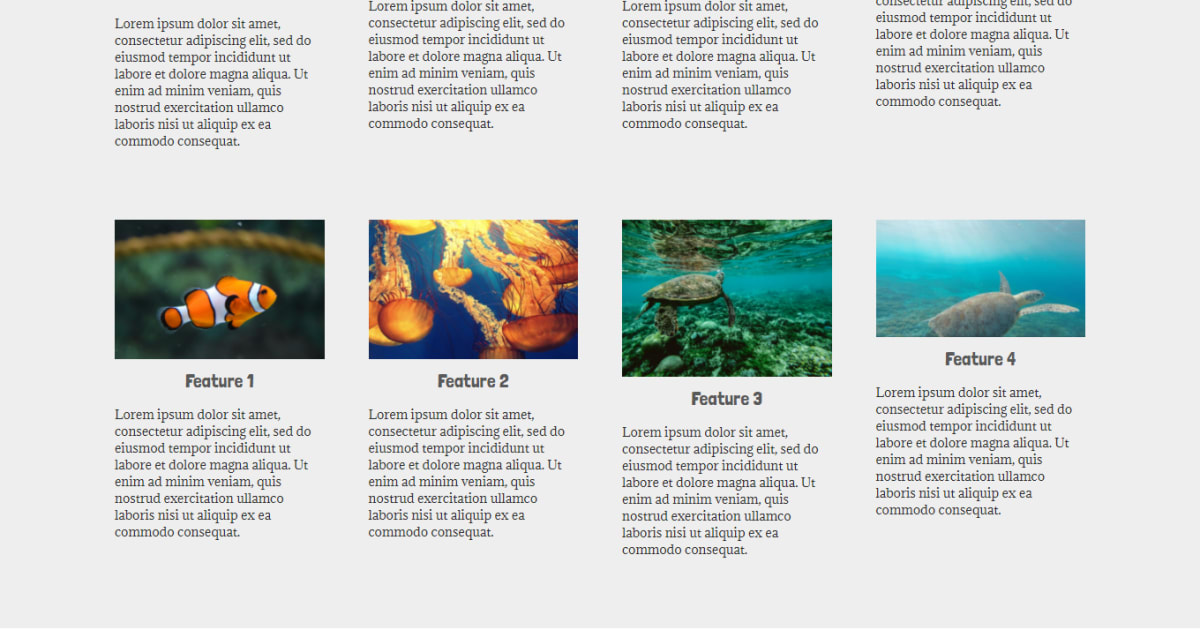 Financial Services / Marine life / Non-Profit - Non-profit Template 03