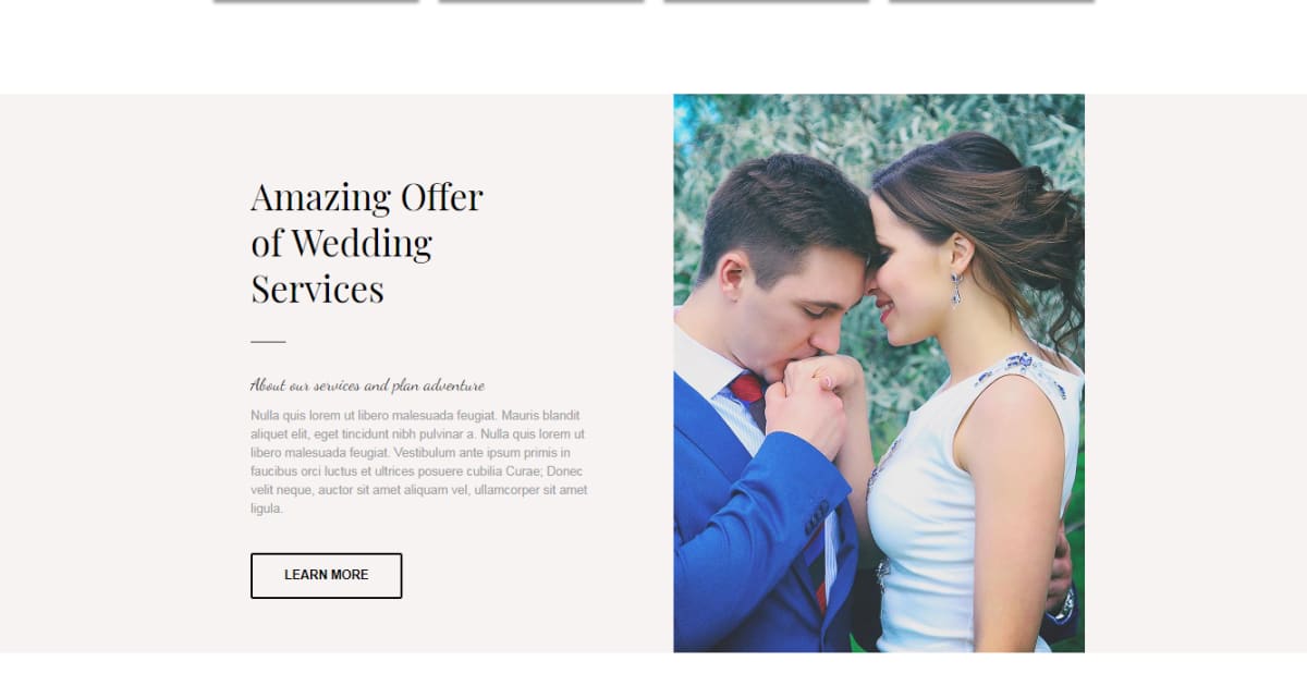 Traditional Business / Wedding / Event / Organizer / Landing Page - Traditional Business Template 08