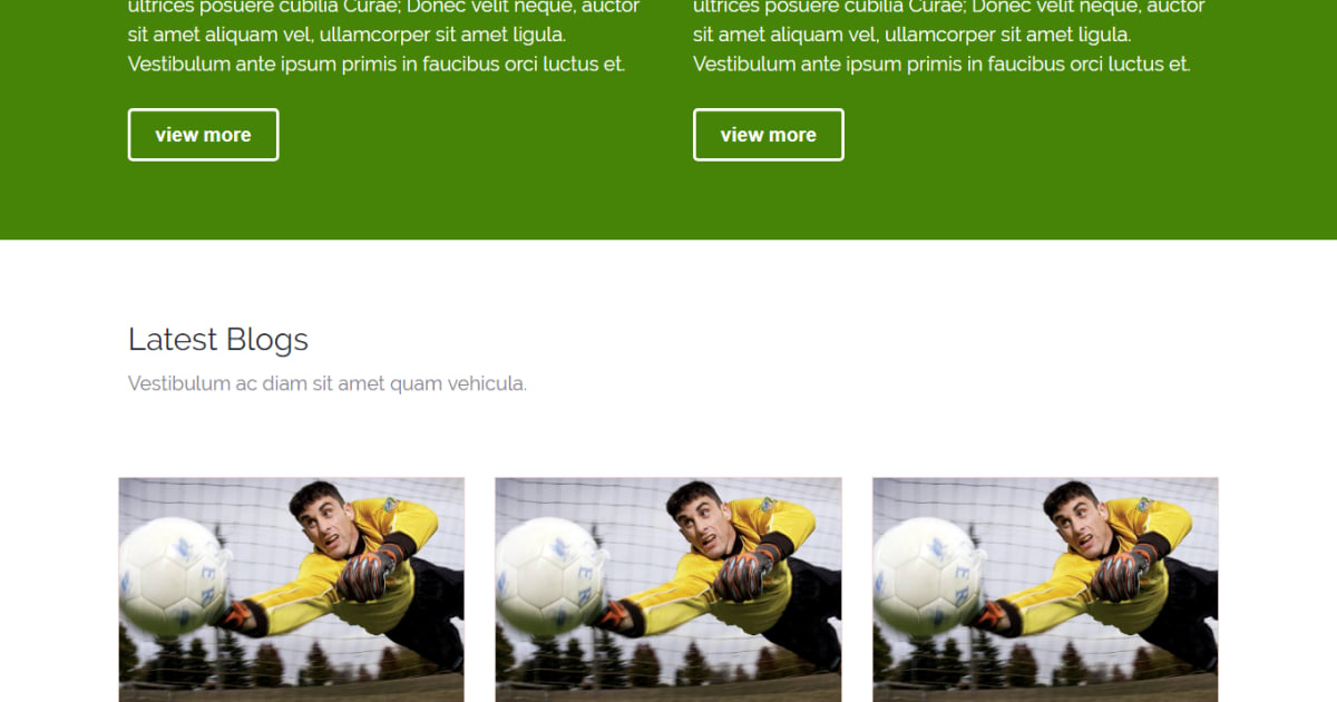 Traditional Business / Sports / Landing Page - Traditional Business Template 05