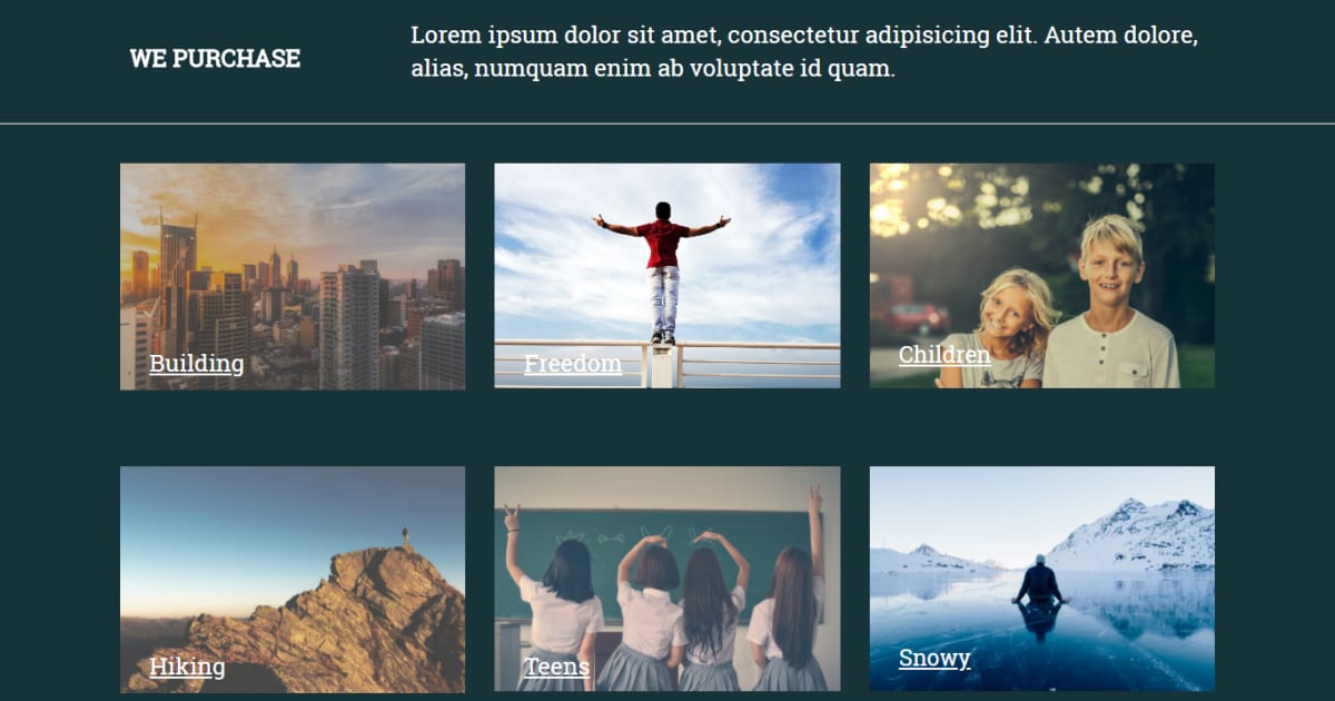 Finance Template / Optin / Landing Page - Finance Template 2