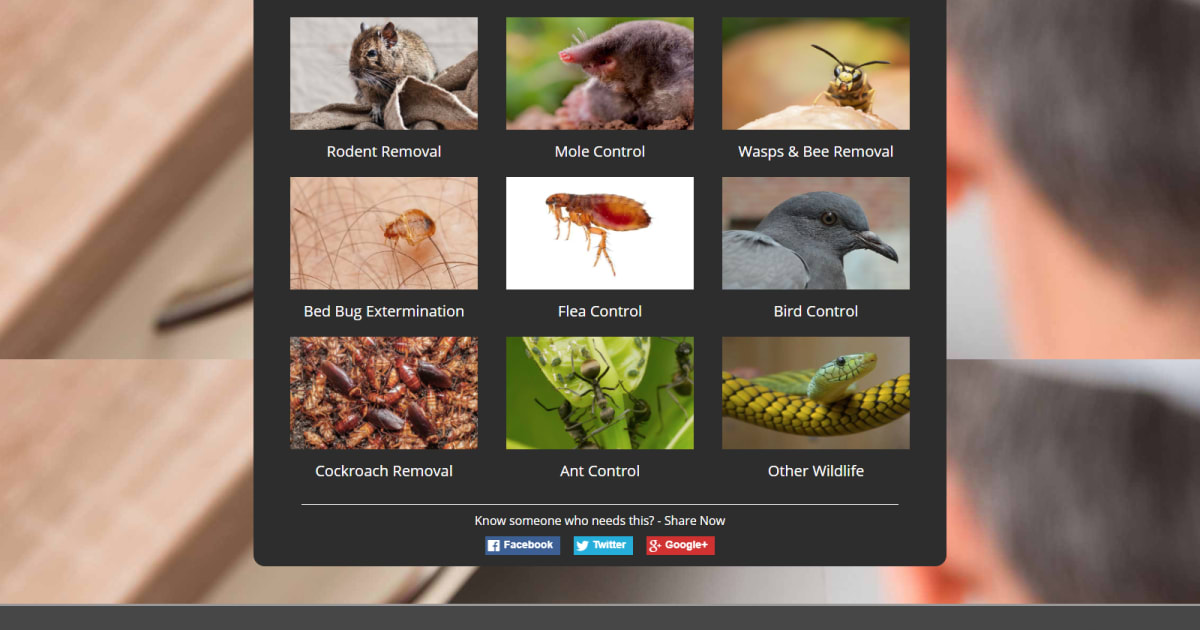 Pest Control Lead Generation (Survey Funnel)