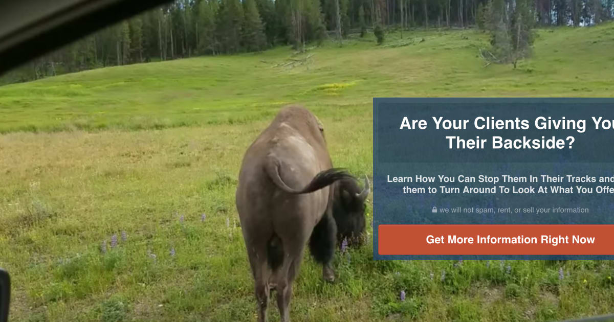 Bison Backend Video Background - Comical Attention Grabbing Opt In Page