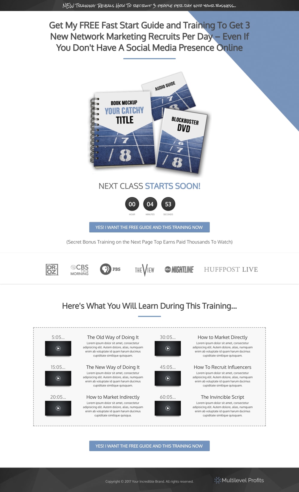 Lead Magnet Opt In Page