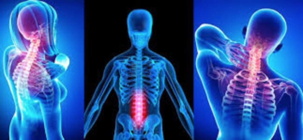 Chiropractor Image