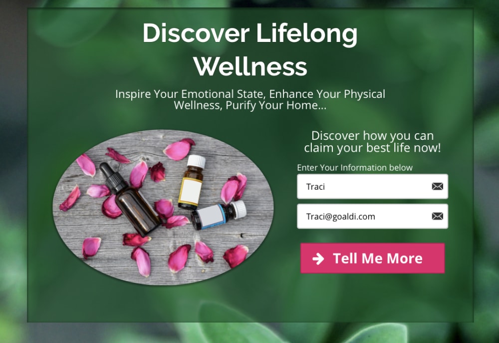 Opt In Squeeze Page