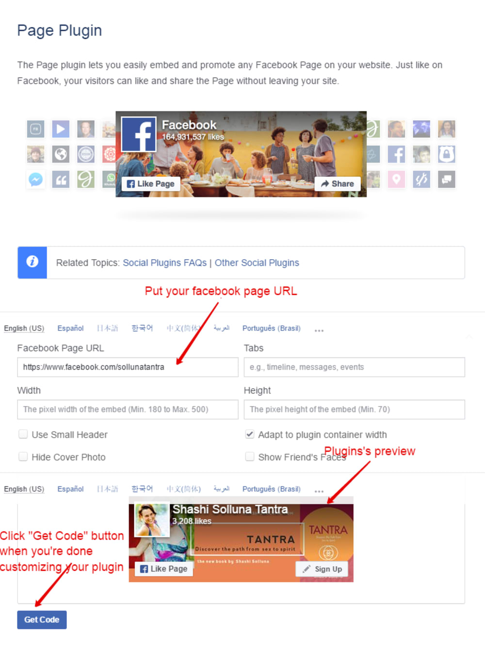 Facebook Page Plugin