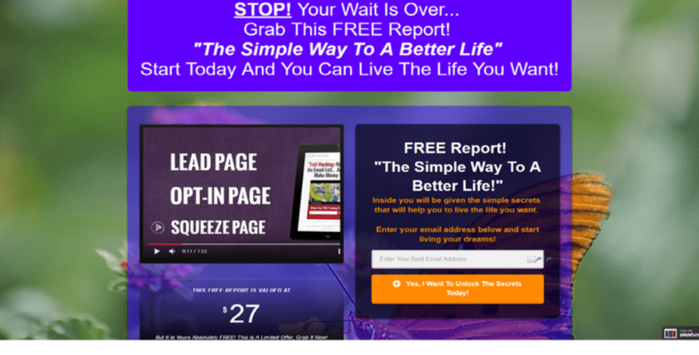 Opt In Page