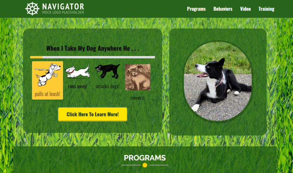 Dog Trainer Optin