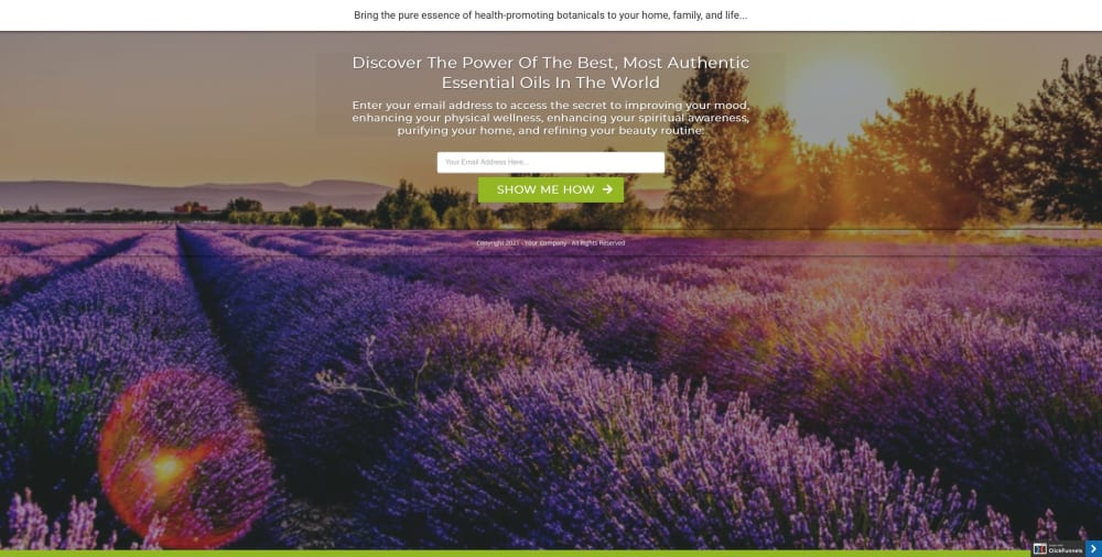 Opt-In / Lead Capture Page