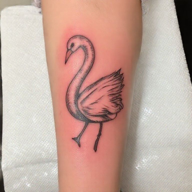 Chappell Roan's Swan-Themed Tattoo: See the Photos of the New Ink