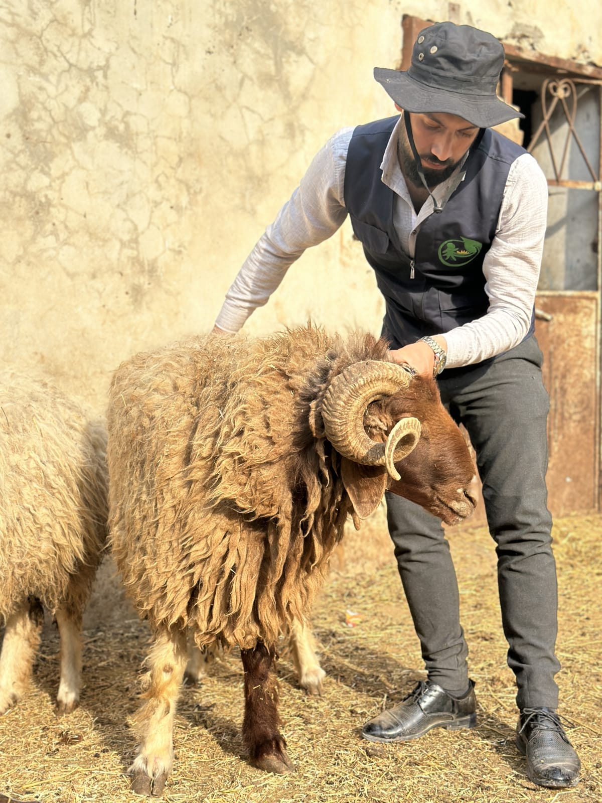 Eid Udhiyah (Qurbani) 2