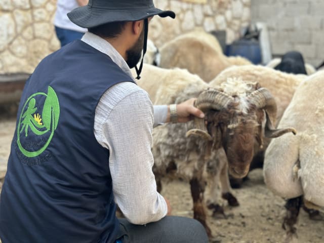Eid Udhiyah (Qurbani)
