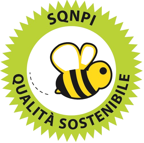 Logo SQPNI