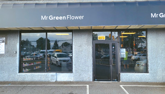 뉴저지 무허가 마리화나 판매점 운영 한인 업주, 1급 중범죄 기소