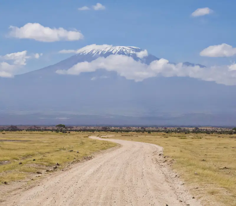 3-Day Amboseli Labor Day Safari