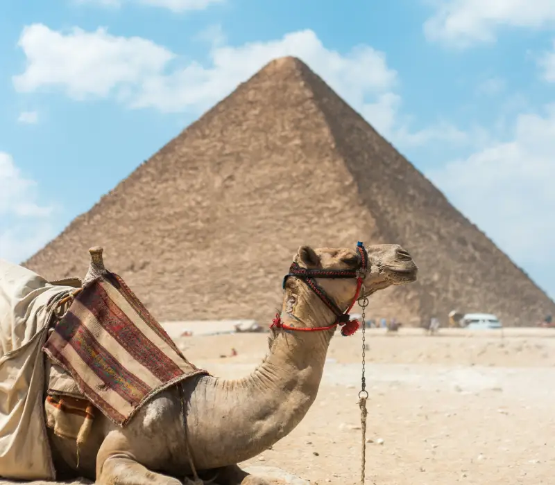 6 Day Wonders of Egypt: Explore Cairo, the Giza Pyramids, and Alexandria in Style