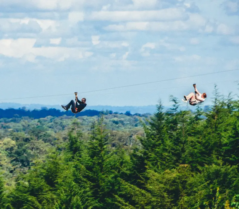 The Forest Kereita Day Trip: Adventure in the Limuru Highlands