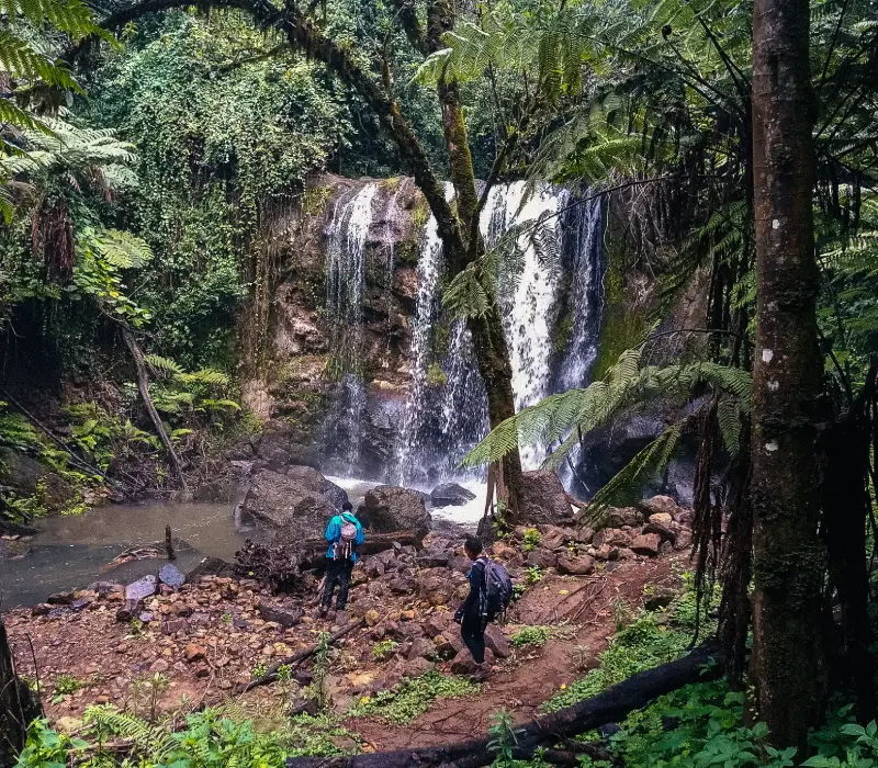 The Forest Kereita Day Trip: Adventure in the Limuru Highlands