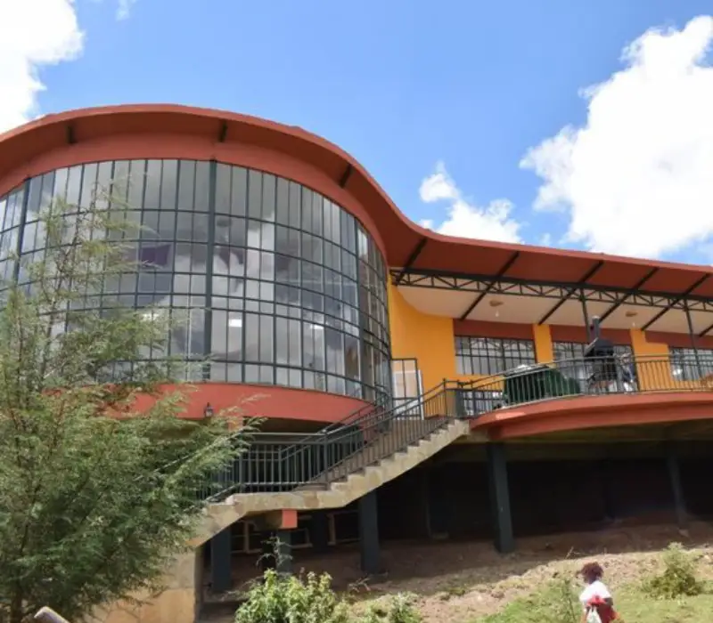 The Forest Kereita Day Trip: Adventure in the Limuru Highlands