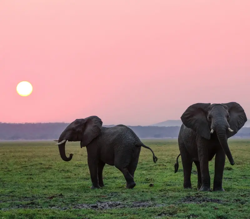 3 Day Meru National Park Safari | Best Kenya Safari