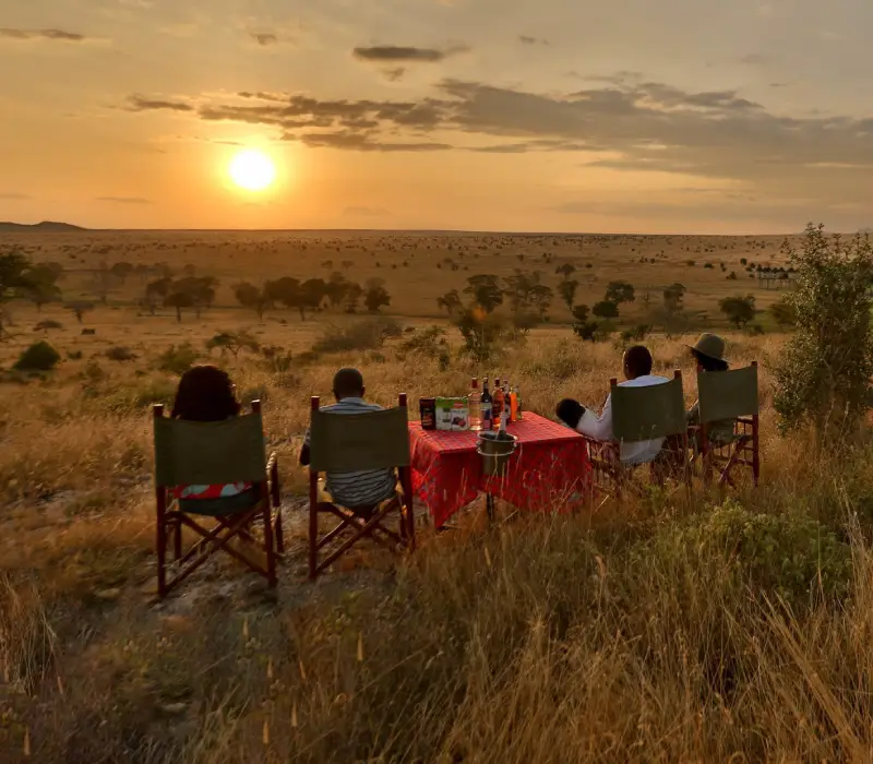 3-Day Taita Hills & Salt Lick SGR Getaway: Wildlife, Heritage, and Iconic Architecture